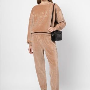 Anine bing velour sweatsuit